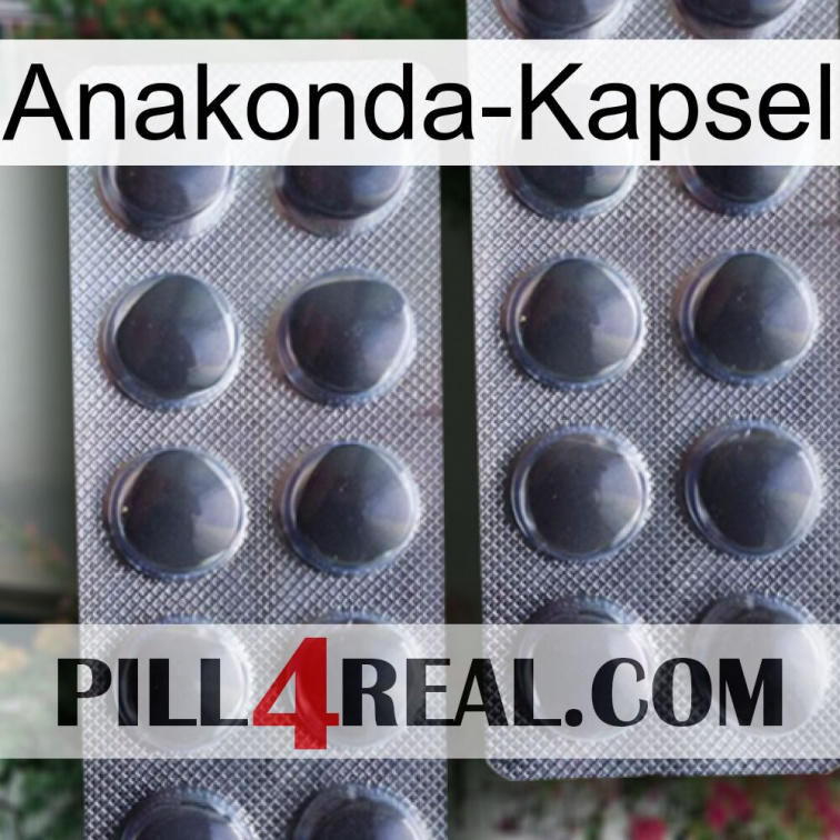 Anaconda Capsule 31